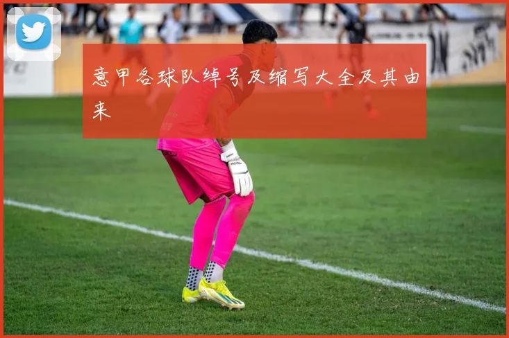 意甲各球队绰号及缩写大全及其由来