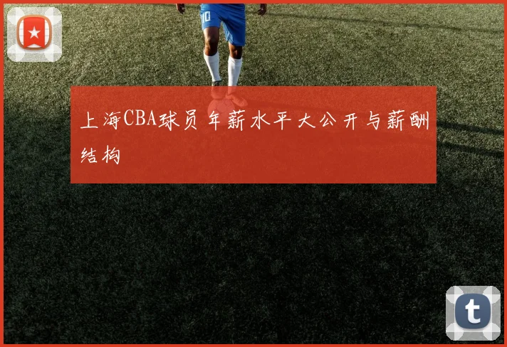 上海CBA球员年薪水平大公开与薪酬结构