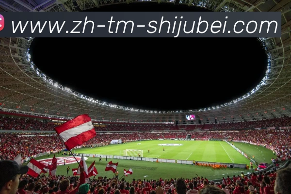 多媒体互动体验