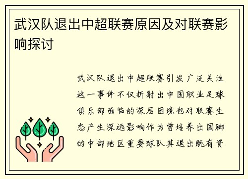 武汉队退出中超联赛原因及对联赛影响探讨